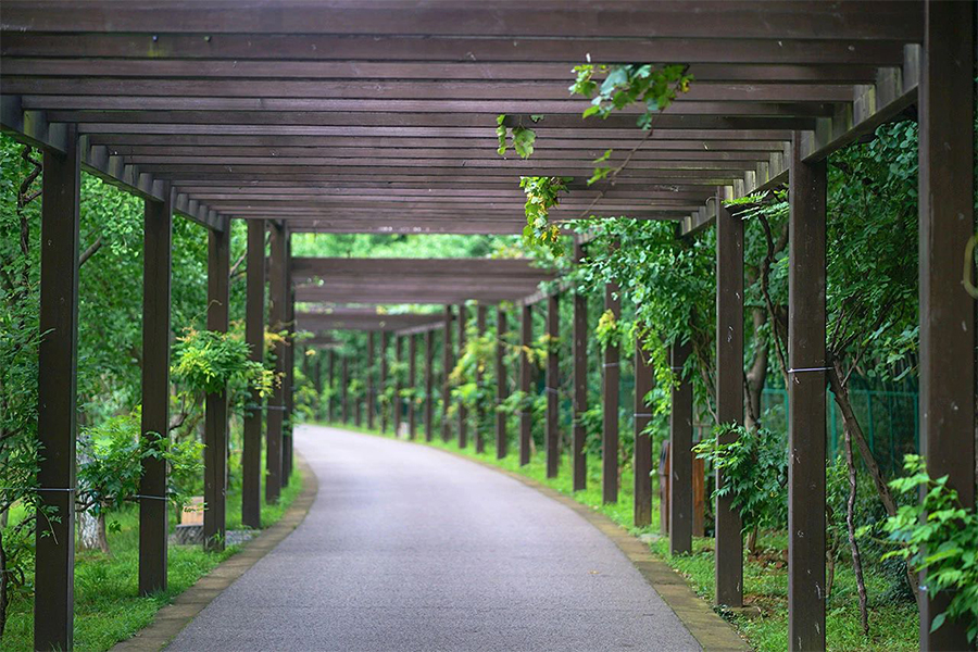 旺山景区旅游攻略